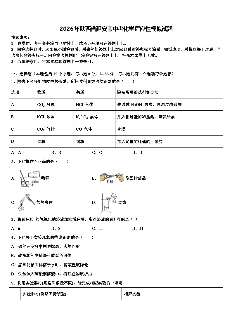 2026年陕西省延安市中考化学适应性模拟试题（含答案解析）第1页