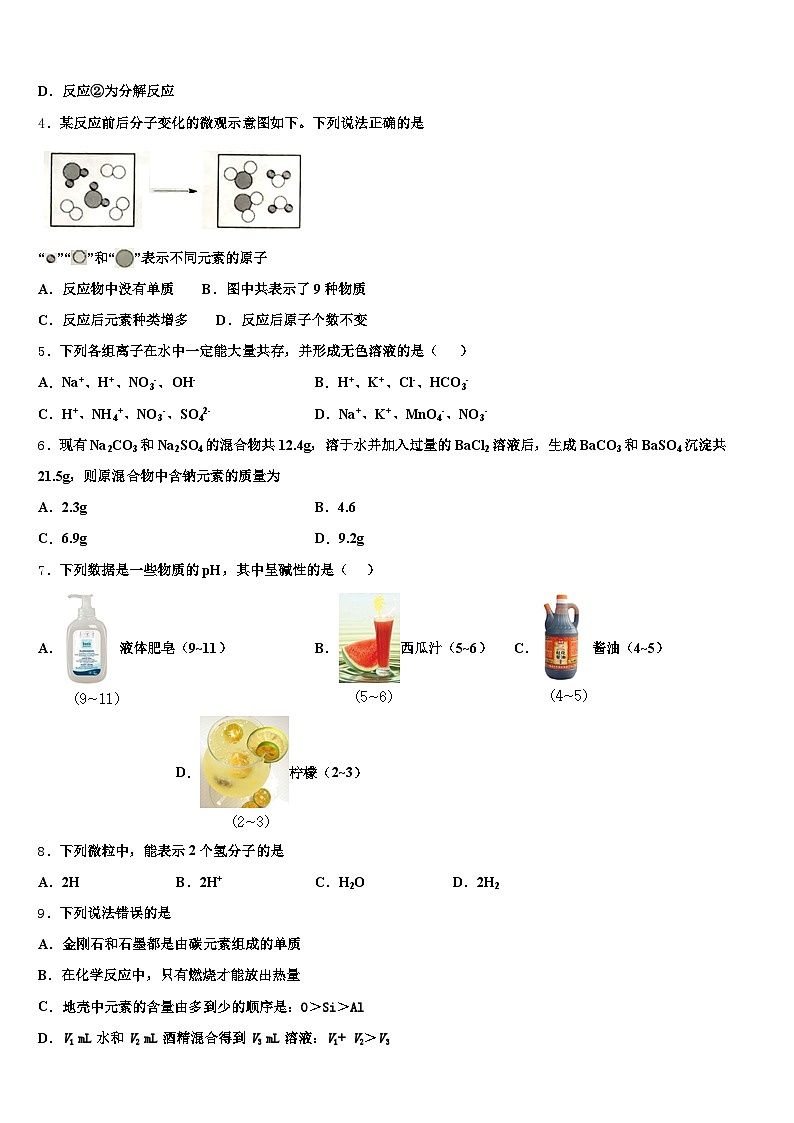 2026届邯郸市中考化学押题试卷（含答案解析）第2页