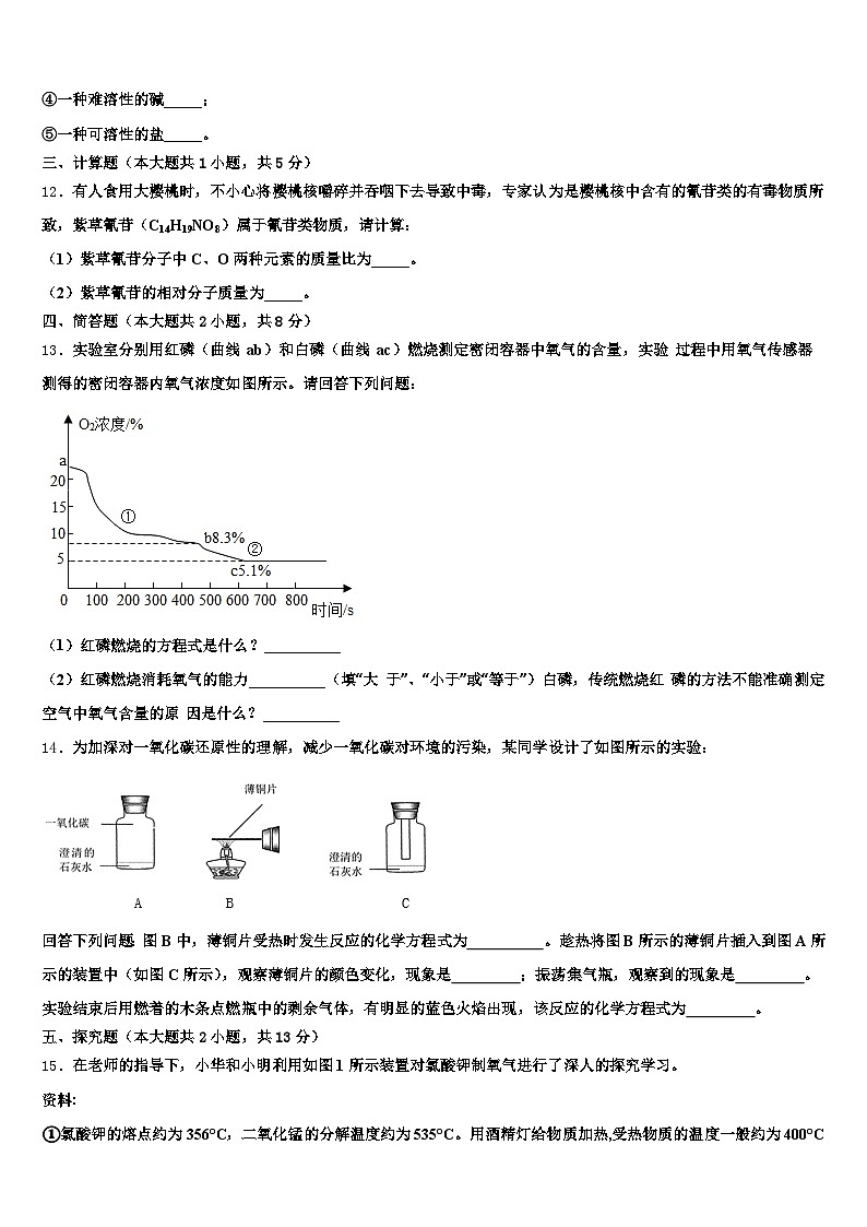 2025-2026学年枣庄市中考化学考试模拟冲刺卷（含答案解析）第3页