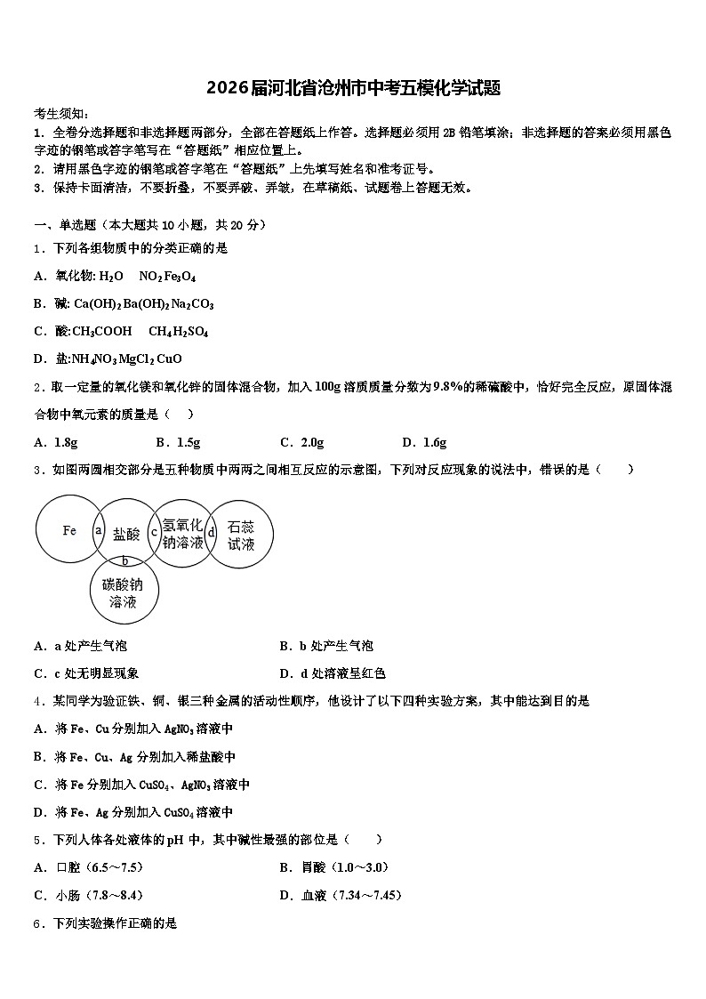 2026届河北省沧州市中考五模化学试题（含答案解析）第1页