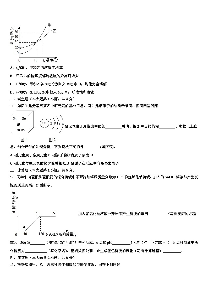 2026届河北省沧州市中考五模化学试题（含答案解析）第3页