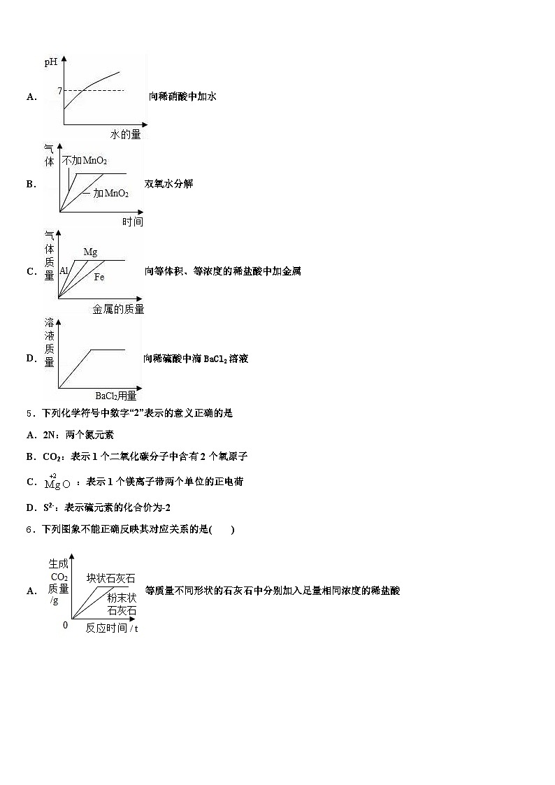 辽源市2025-2026学年初中化学毕业考试模拟冲刺卷（含答案解析）第2页