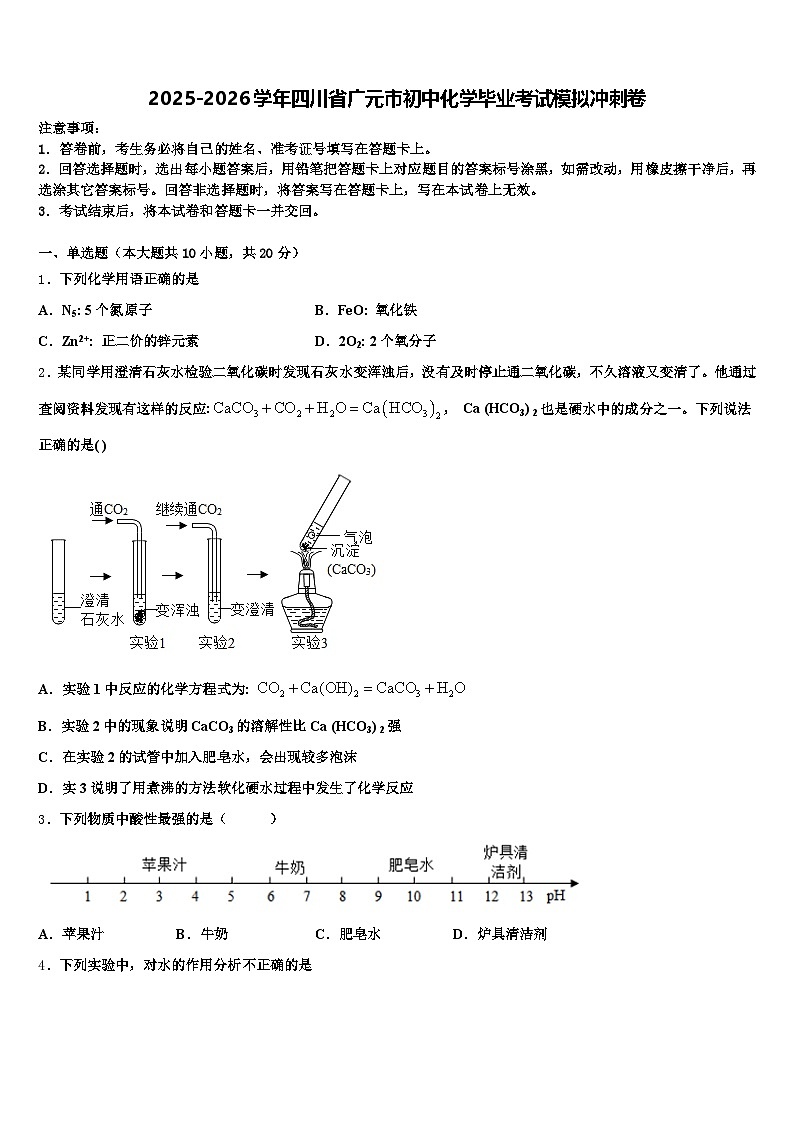 2025-2026学年四川省广元市初中化学毕业考试模拟冲刺卷（含答案解析）第1页
