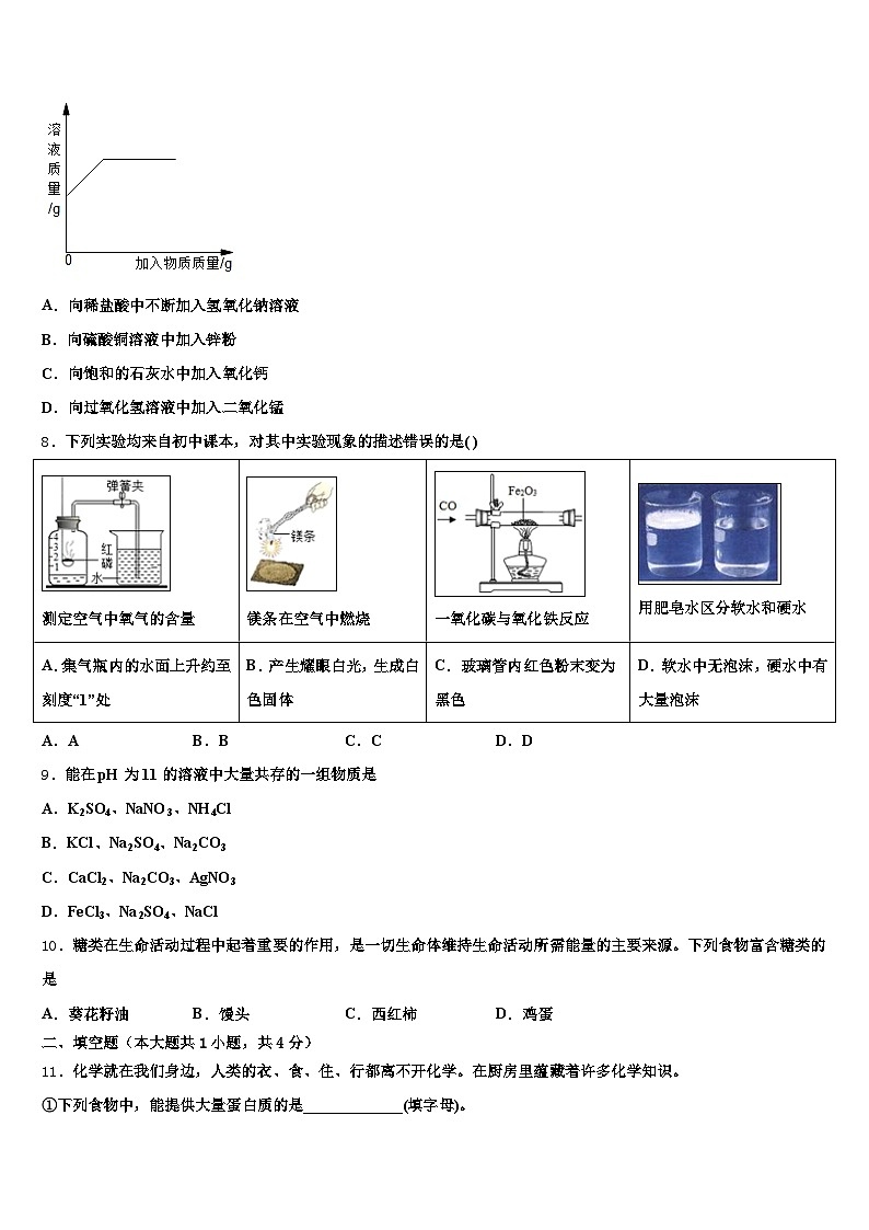 2025-2026学年四川省广元市初中化学毕业考试模拟冲刺卷（含答案解析）第3页