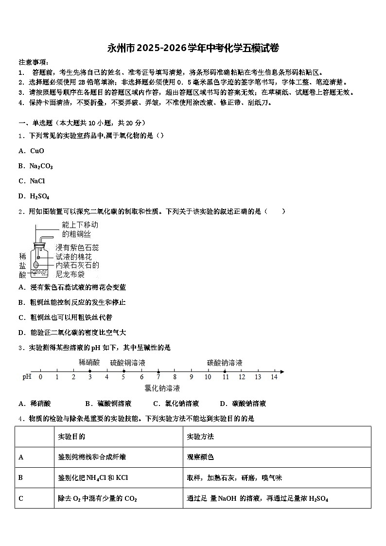 永州市2025-2026学年中考化学五模试卷（含答案解析）第1页