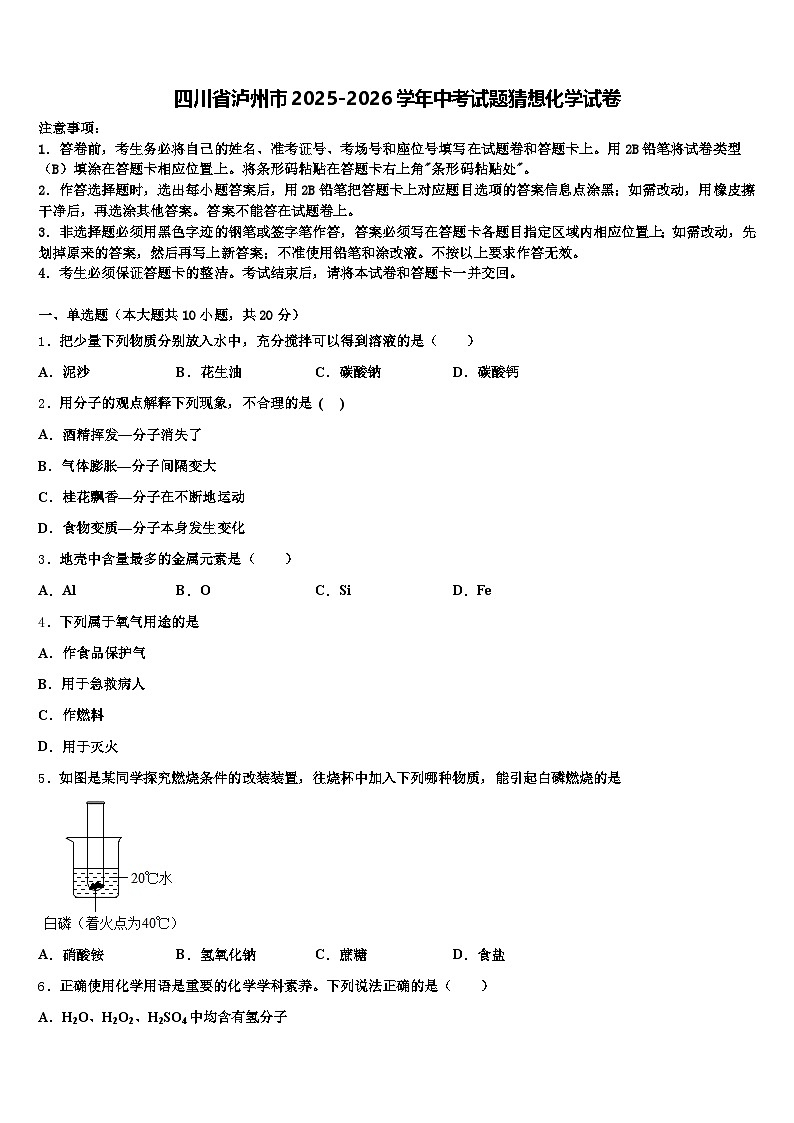 四川省泸州市2025-2026学年中考试题猜想化学试卷（含答案解析）第1页