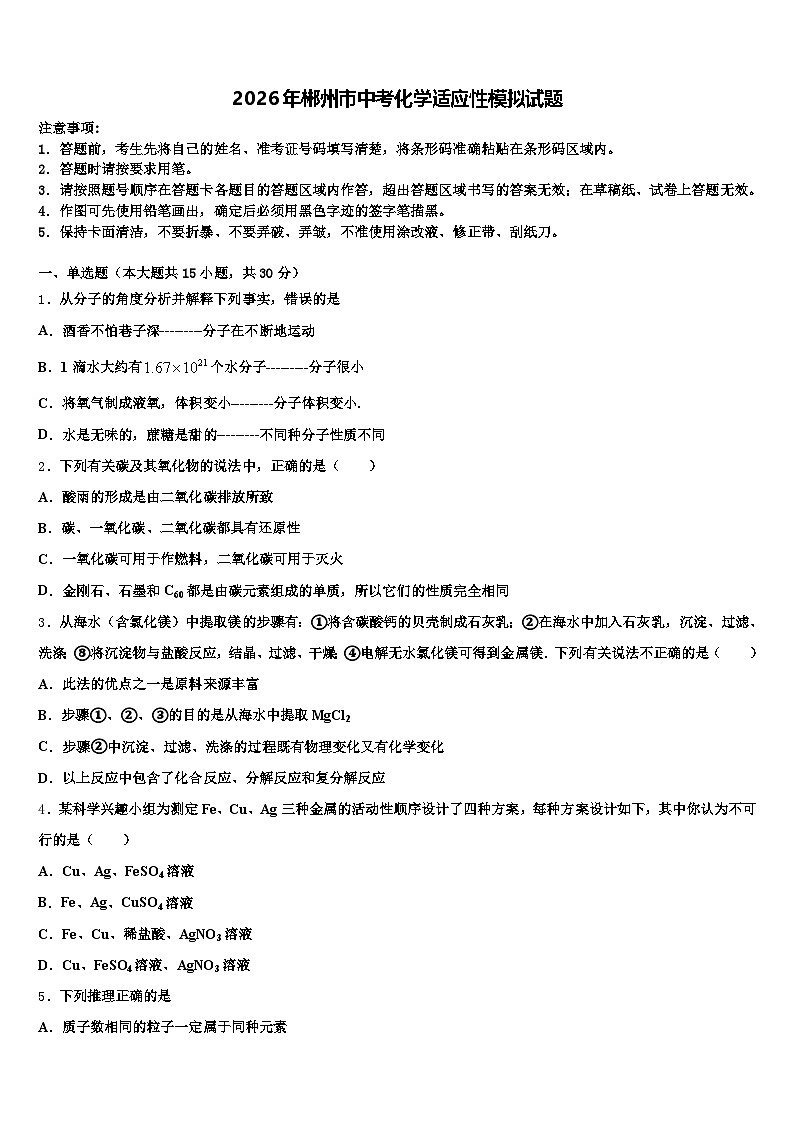 2026年郴州市中考化学适应性模拟试题（含答案解析）第1页