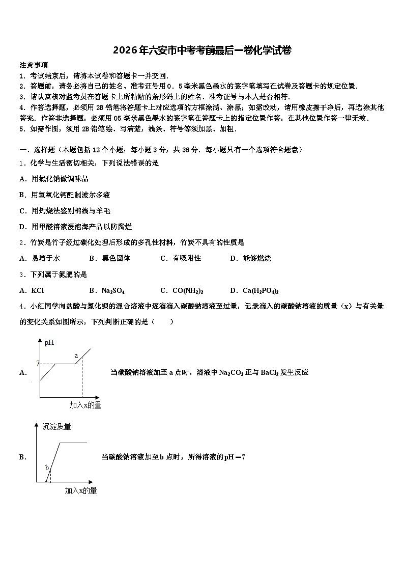2026年六安市中考考前最后一卷化学试卷（含答案解析）第1页