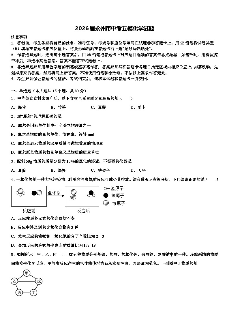 2026届永州市中考五模化学试题（含答案解析）第1页