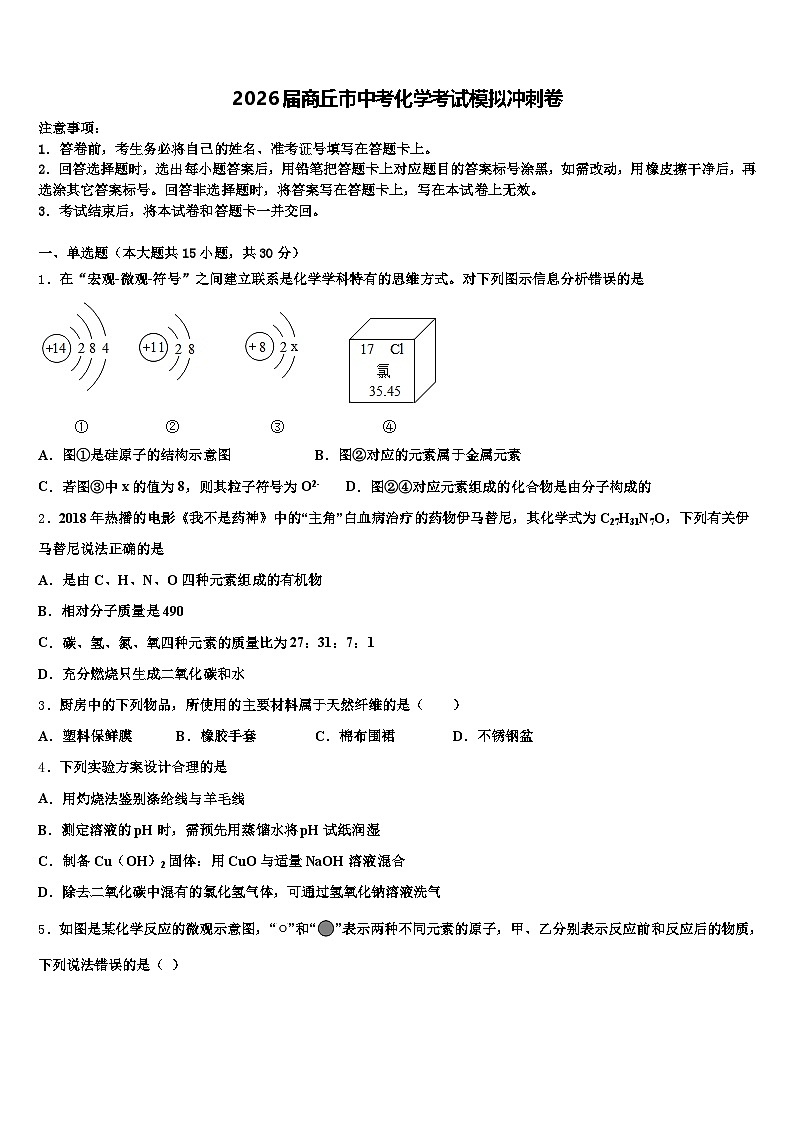2026届商丘市中考化学考试模拟冲刺卷（含答案解析）第1页