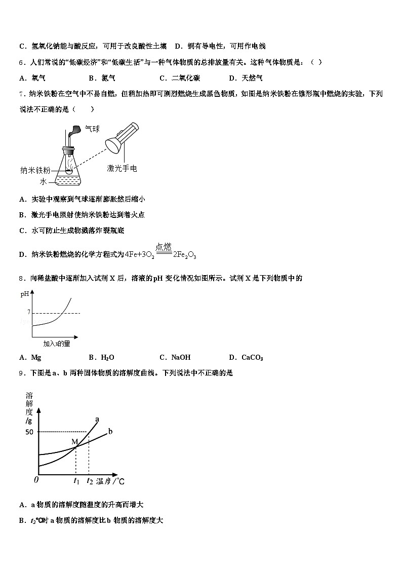 吉林省2025-2026学年中考化学最后冲刺浓缩精华卷（含答案解析）第2页