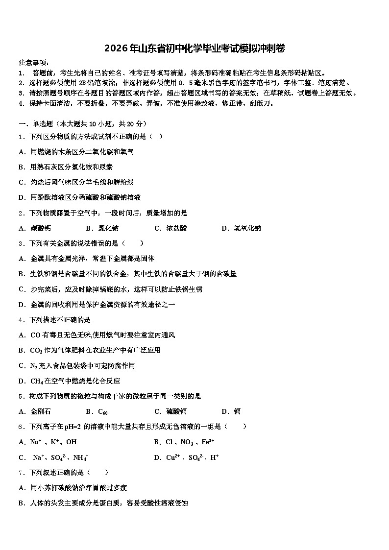 2026年山东省初中化学毕业考试模拟冲刺卷（含答案解析）第1页