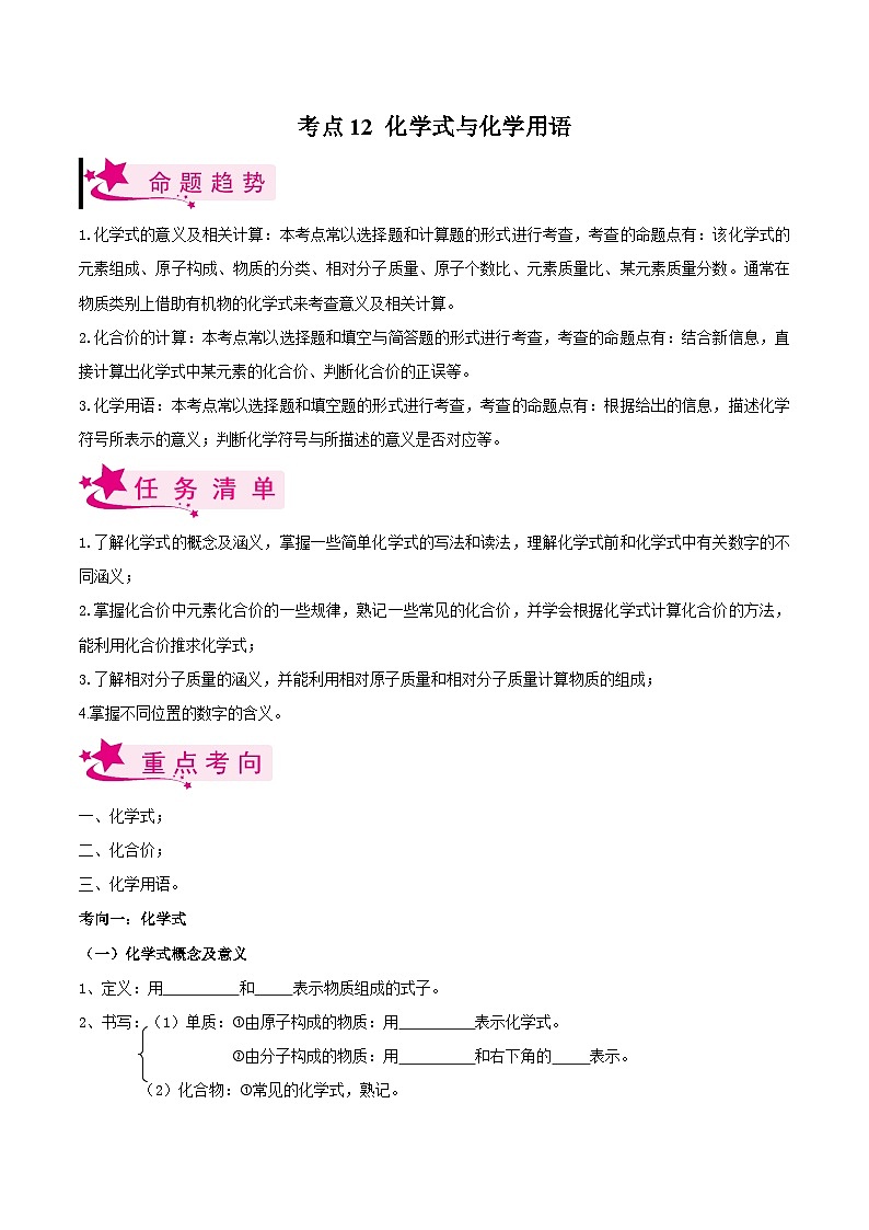 中考化学一轮复习考点练习考点12 化学式与化学用语（原卷版）第1页