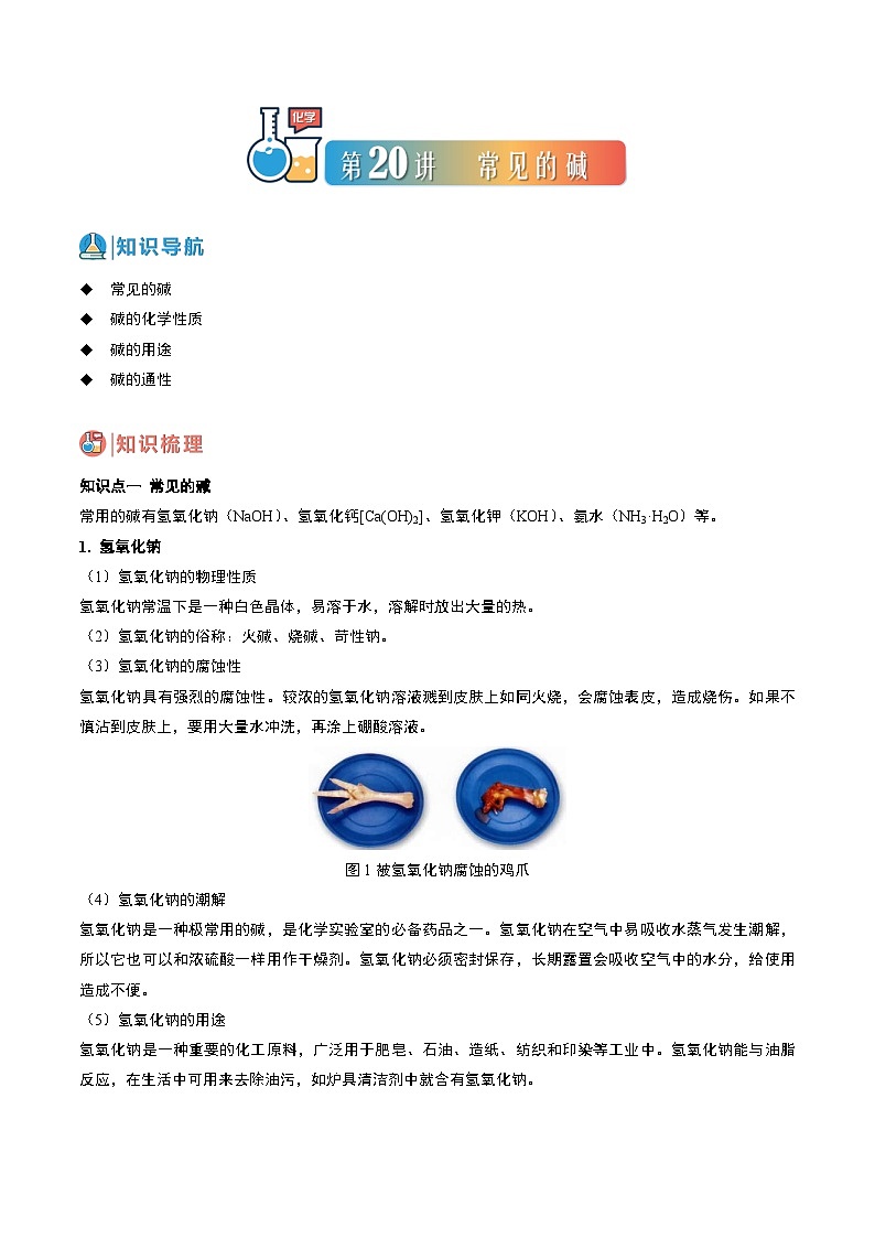 中考化学一轮复习基础通关练习第20讲 常见的碱（含答案解析）第1页