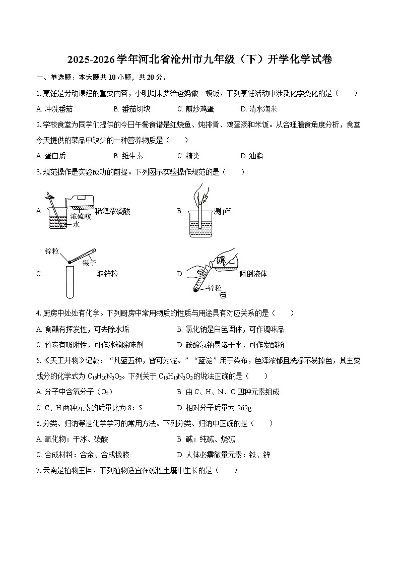 2025-2026学年河北省沧州市九年级（下）开学化学试卷-自定义类型第1页