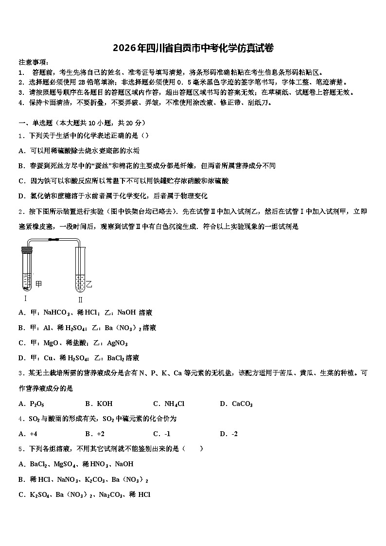 2026年四川省自贡市中考化学仿真试卷（含答案解析）第1页