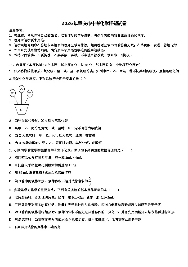 2026年肇庆市中考化学押题试卷（含答案解析）第1页