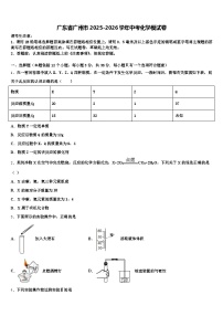 广东省广州市2025-2026学年中考化学模试卷(含答案解析)