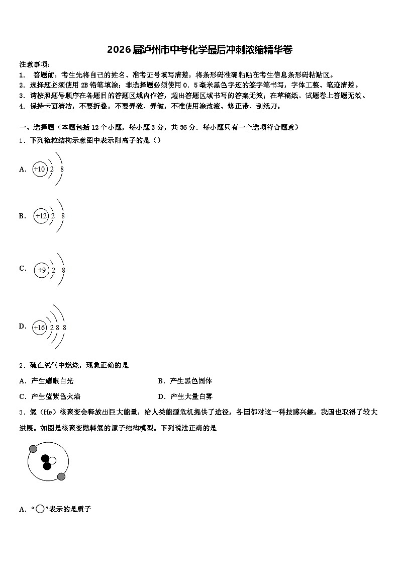 2026届泸州市中考化学最后冲刺浓缩精华卷（含答案解析）第1页