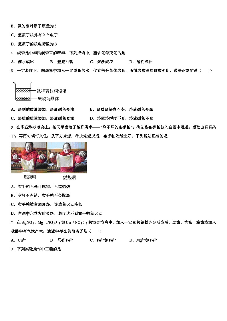 2026届泸州市中考化学最后冲刺浓缩精华卷（含答案解析）第2页