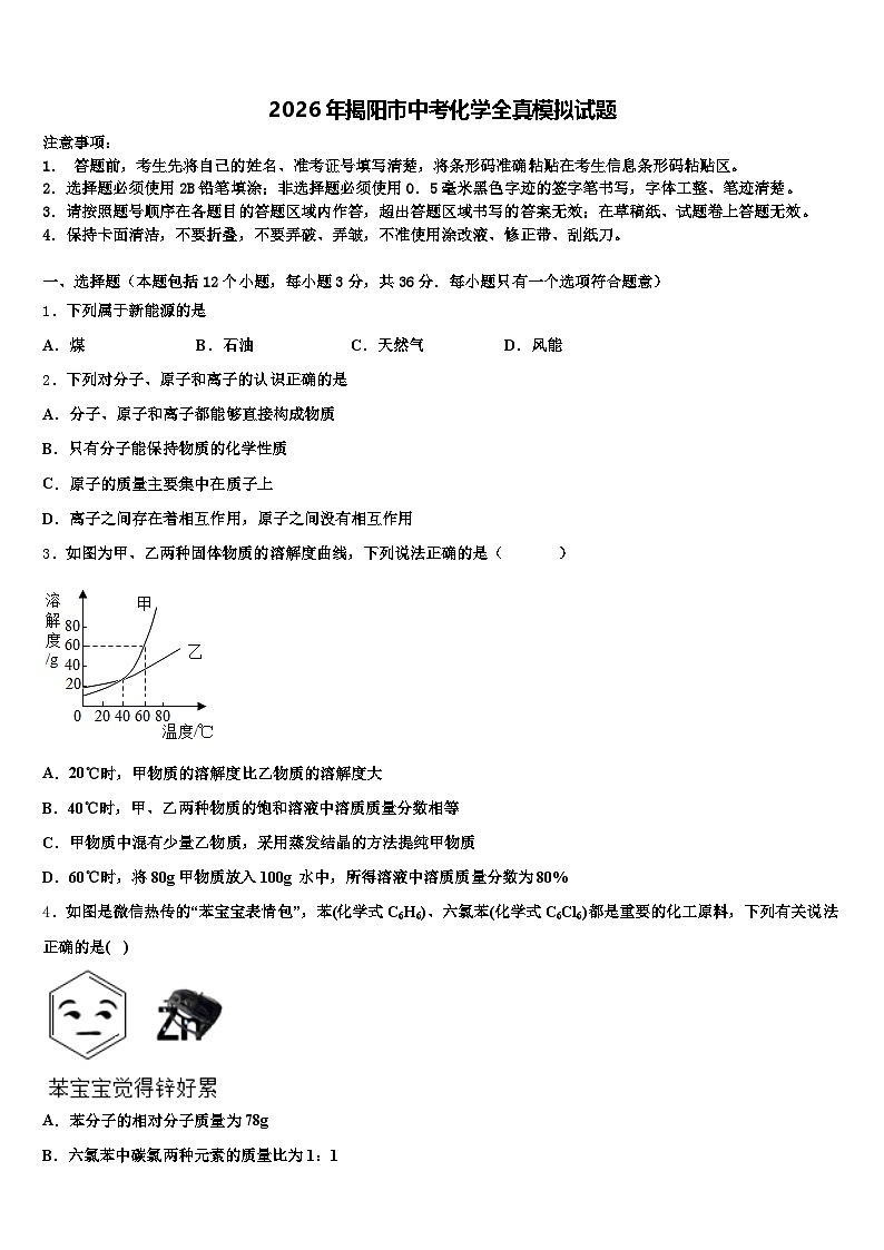 2026年揭阳市中考化学全真模拟试题（含答案解析）第1页