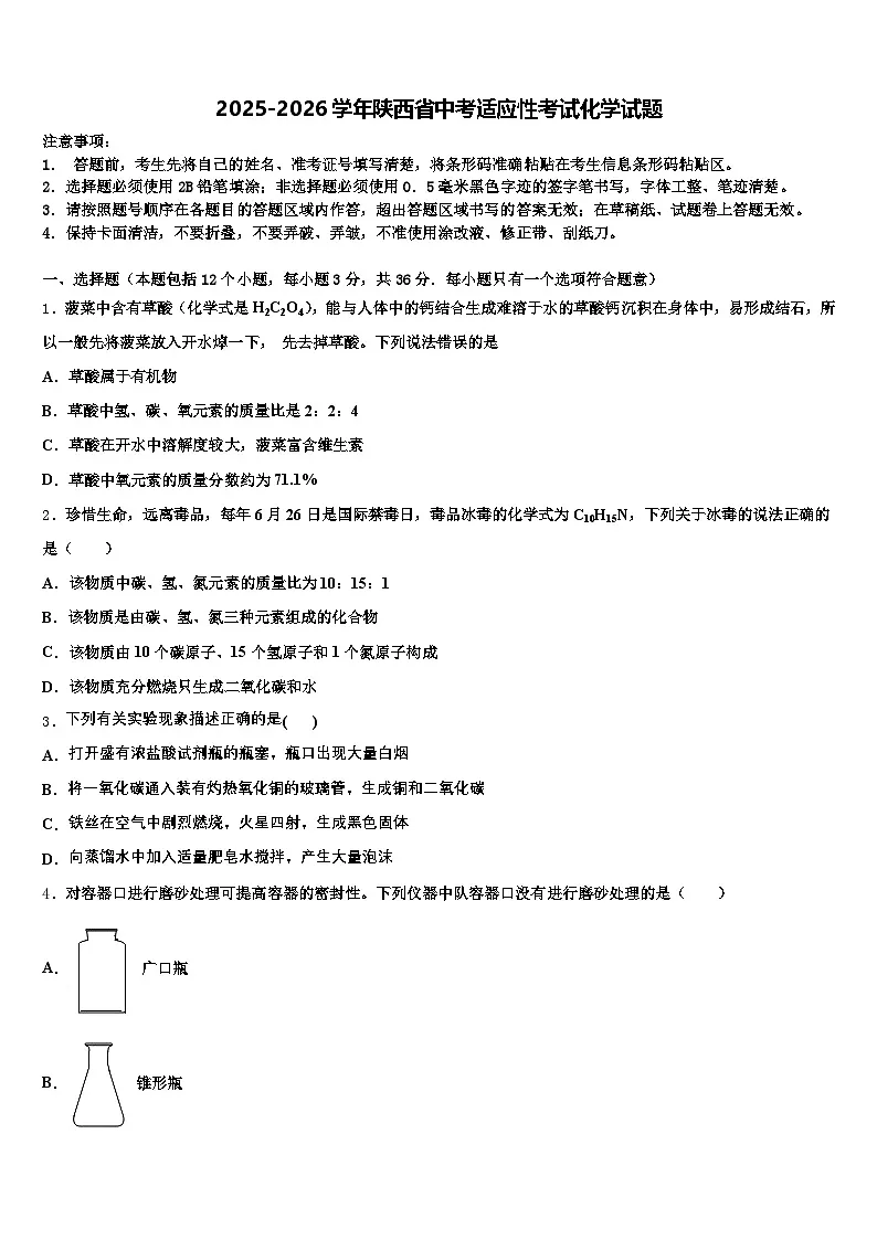2025-2026学年陕西省中考适应性考试化学试题（含答案解析）第1页