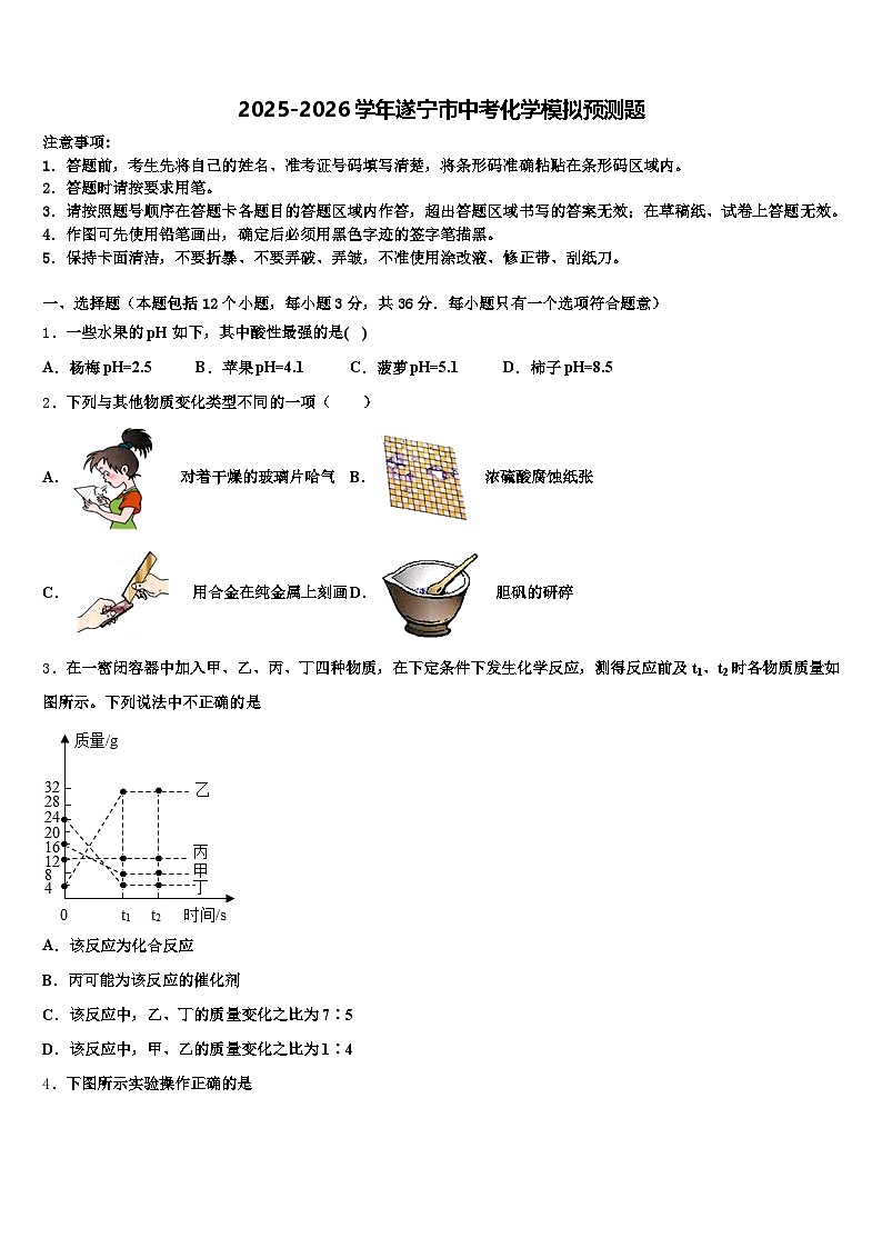 2025-2026学年遂宁市中考化学模拟预测题（含答案解析）第1页