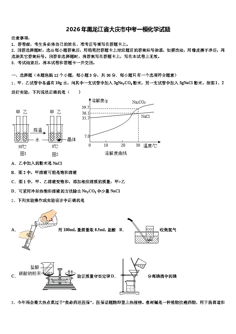 2026年黑龙江省大庆市中考一模化学试题（含答案解析）第1页