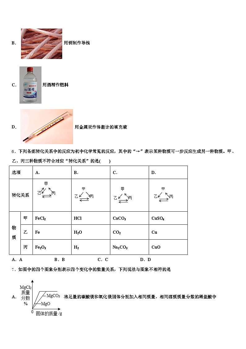 2026年廊坊市中考猜题化学试卷（含答案解析）第2页