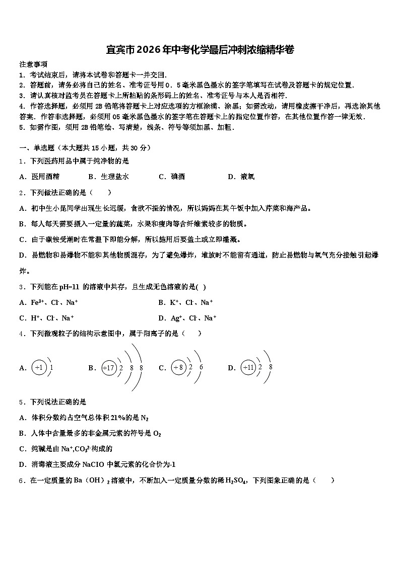 宜宾市2026年中考化学最后冲刺浓缩精华卷（含答案解析）第1页