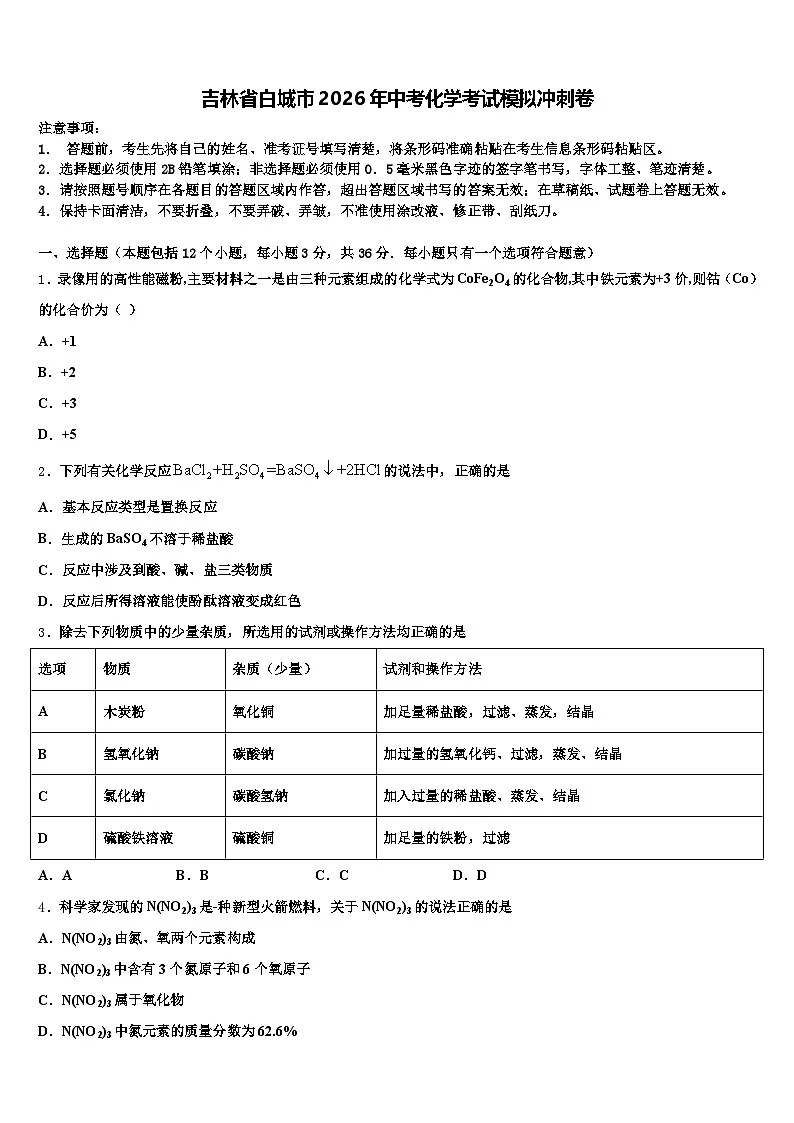 吉林省白城市2026年中考化学考试模拟冲刺卷（含答案解析）第1页
