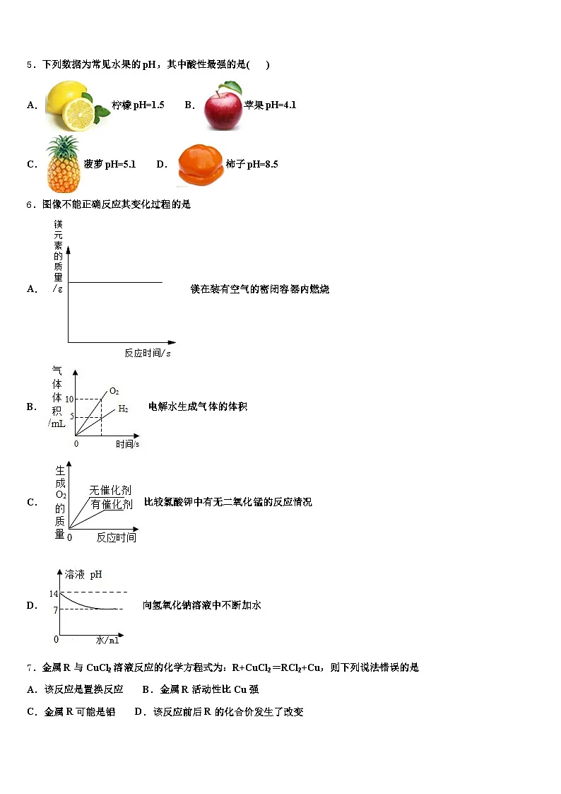 吉林省白城市2026年中考化学考试模拟冲刺卷（含答案解析）第2页