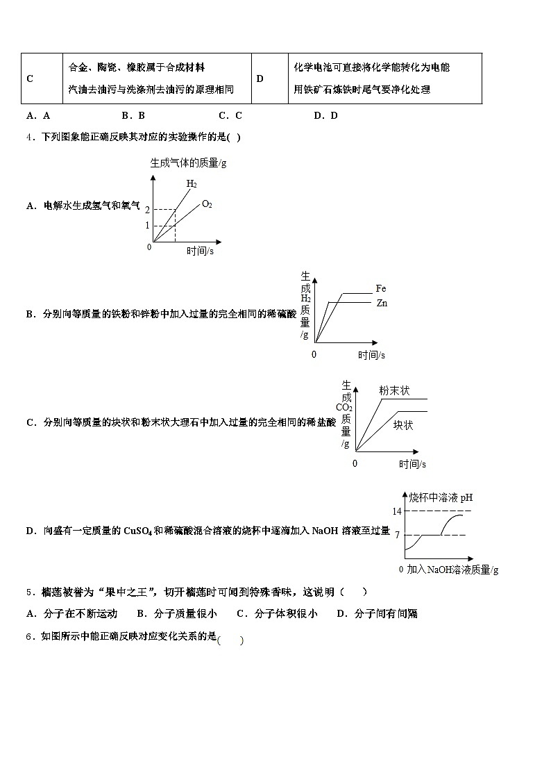 2025-2026学年濮阳市中考化学模拟预测试卷（含答案解析）第2页