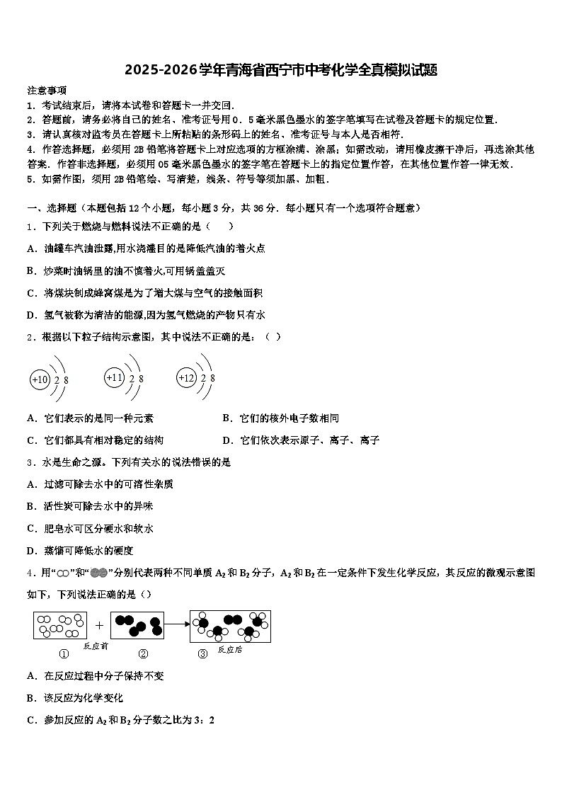 2025-2026学年青海省西宁市中考化学全真模拟试题（含答案解析）第1页