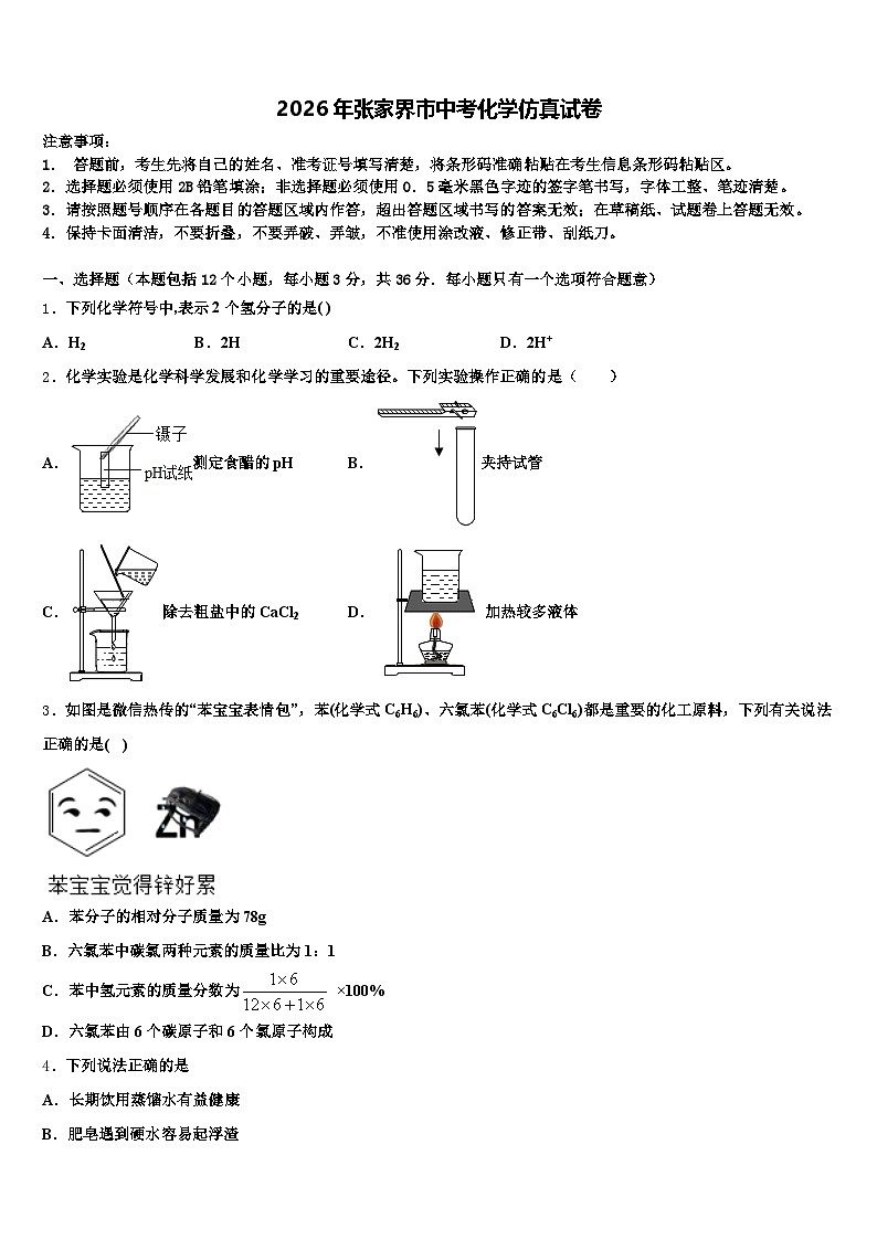2026年张家界市中考化学仿真试卷（含答案解析）第1页