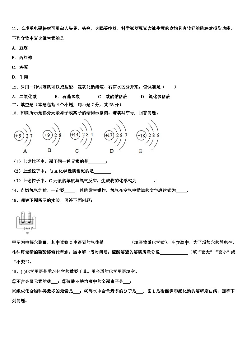 2025-2026学年三门峡市中考化学对点突破模拟试卷（含答案解析）第3页