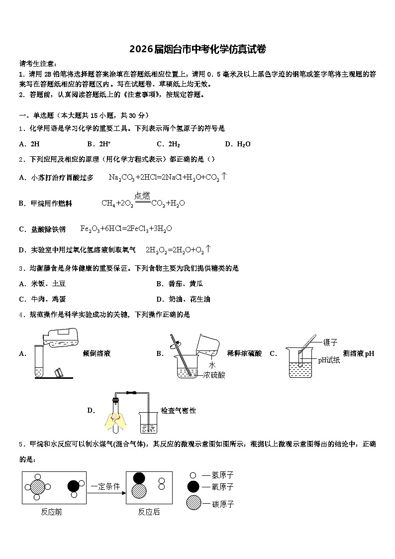 2026届烟台市中考化学仿真试卷（含答案解析）第1页