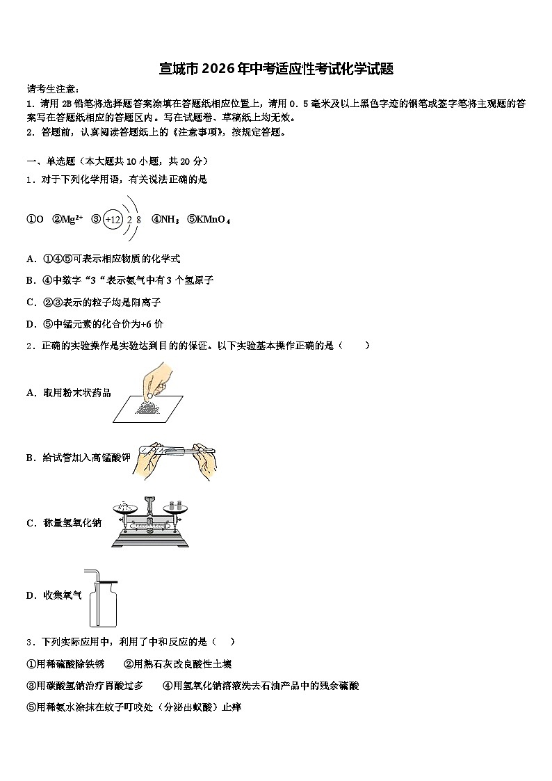 宣城市2026年中考适应性考试化学试题（含答案解析）第1页