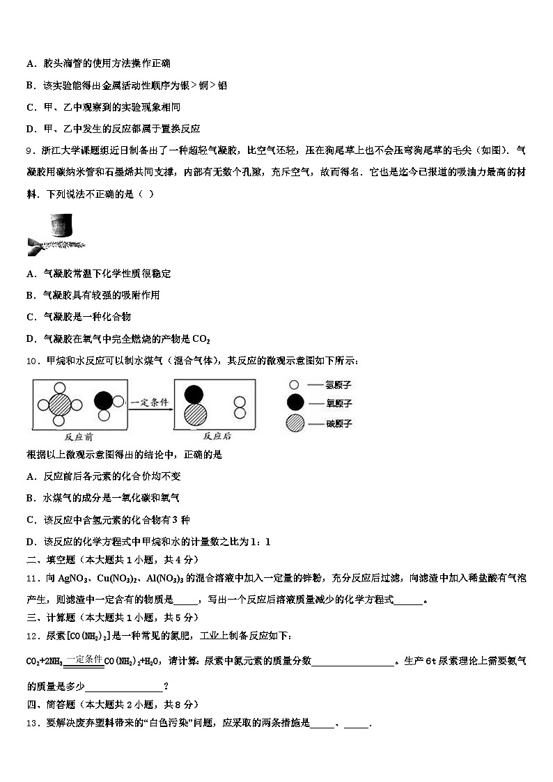 亳州市2025-2026学年中考化学全真模拟试卷（含答案解析）第3页