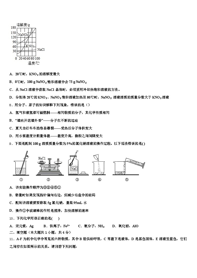 河源市2026年中考猜题化学试卷（含答案解析）第2页