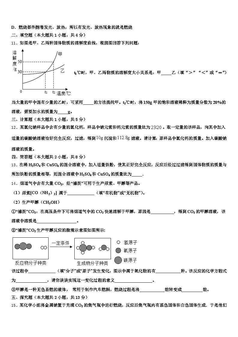 广东省阳江市2025-2026学年中考化学全真模拟试卷（含答案解析）第3页