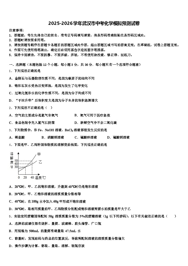 2025-2026学年武汉市中考化学模拟预测试卷（含答案解析）第1页
