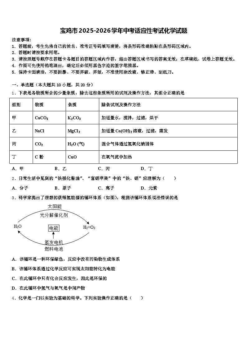 宝鸡市2025-2026学年中考适应性考试化学试题（含答案解析）第1页