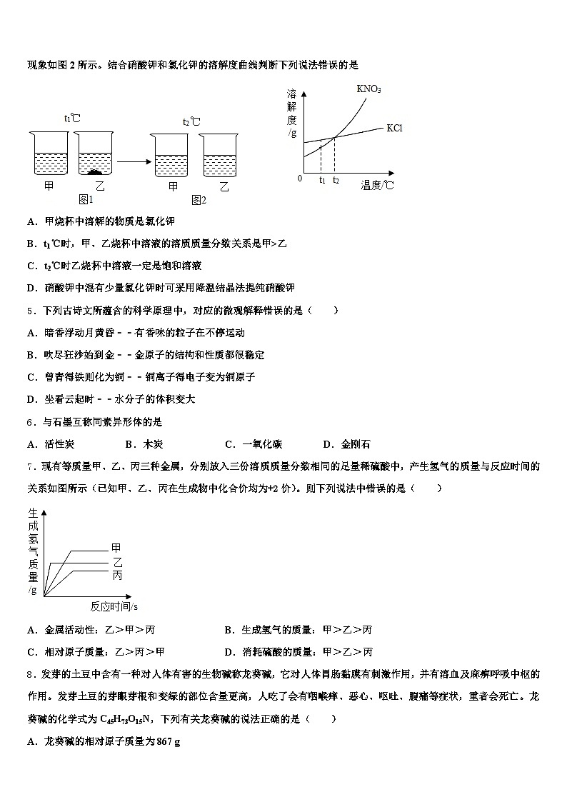 2026届山东省烟台市中考试题猜想化学试卷（含答案解析）第2页