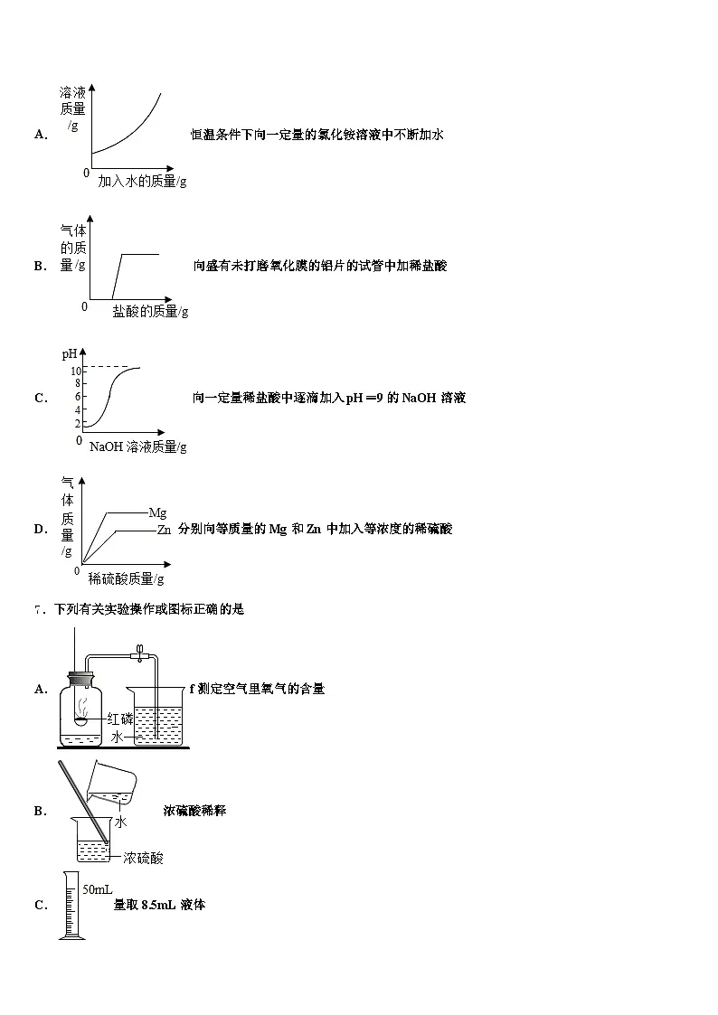 2026年乐山市中考化学模拟预测试卷（含答案解析）第2页