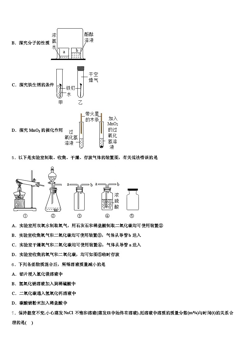 福建省三明市2025-2026学年中考化学押题试卷（含答案解析）第2页
