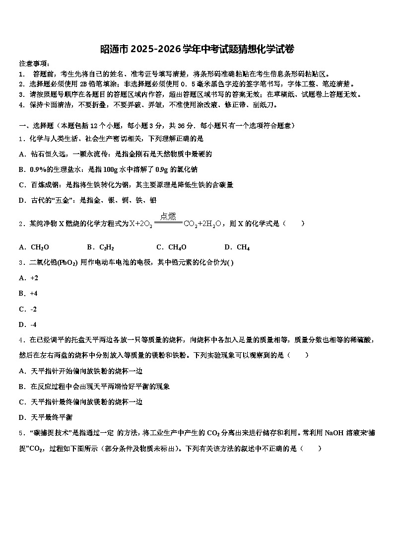 昭通市2025-2026学年中考试题猜想化学试卷（含答案解析）第1页
