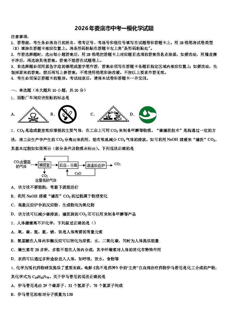 2026年娄底市中考一模化学试题（含答案解析）第1页