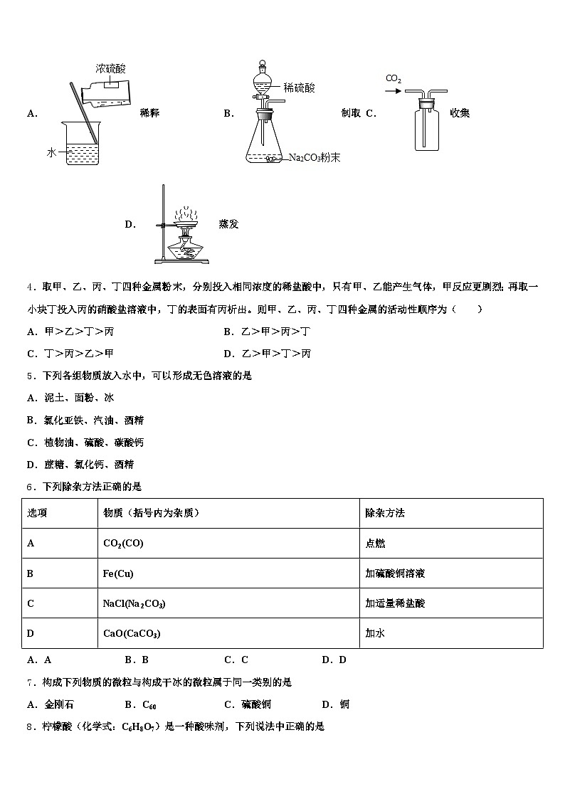 南京市2025-2026学年中考适应性考试化学试题（含答案解析）第2页