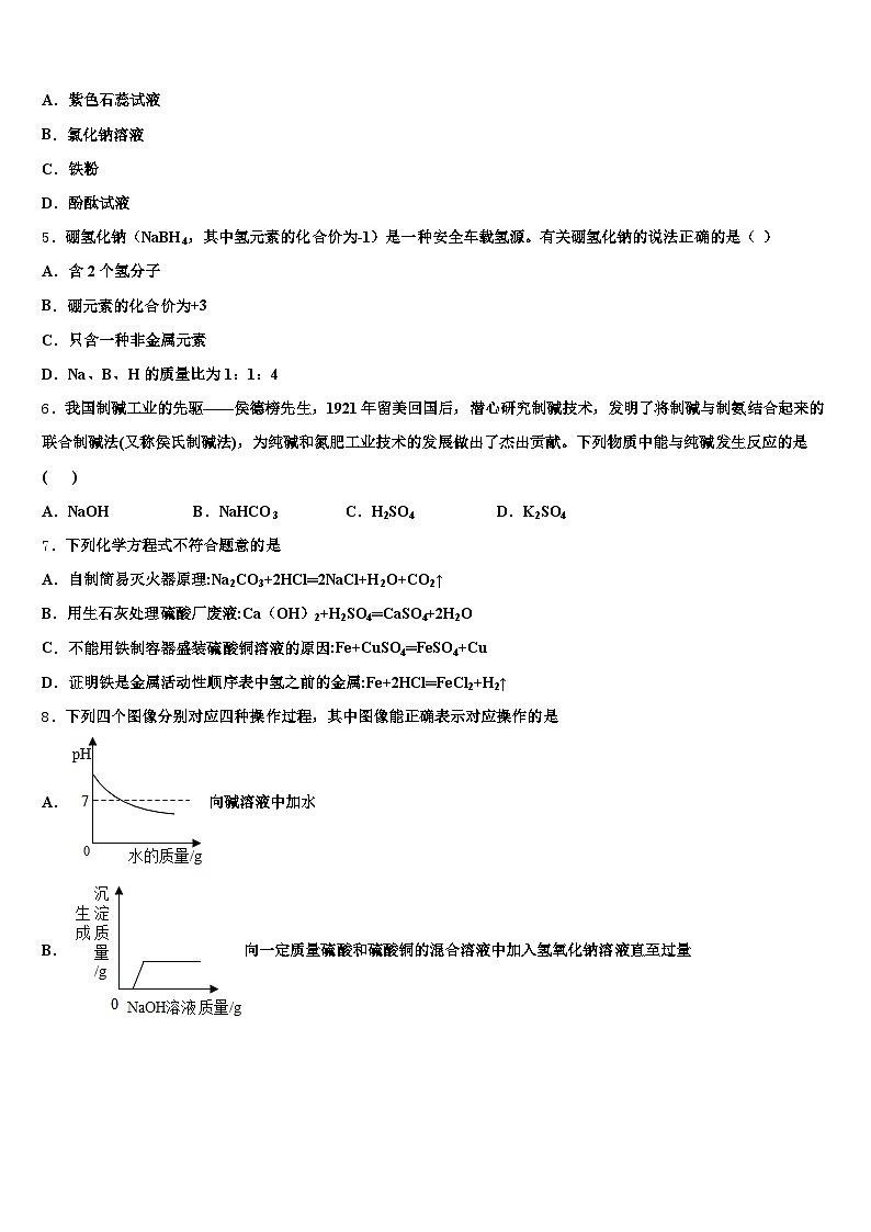 新乡市2025-2026学年中考试题猜想化学试卷（含答案解析）第2页